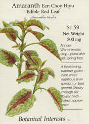 Red Leaf Edible  Amaranth