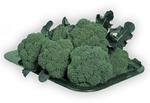 Premium Crop Broccoli