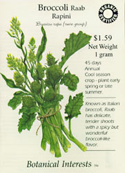 Raab- Rapini Broccoli