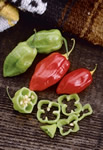 Caribbean Red Hot Hot Peppers