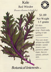 Red Winter Kale