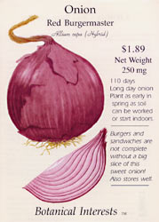 Burgermaster Red Onion