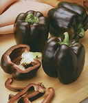 Chocolate Beauty Sweet Bell Peppers