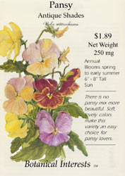 Antique Shades Pansy
