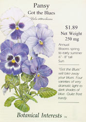 Got the Blues Pansy