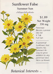 False- Summer Sun Sunflower