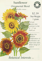 Ornamental Mix Sunflower